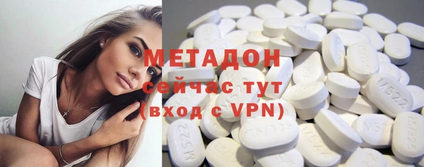 прущие грибы Михайловка