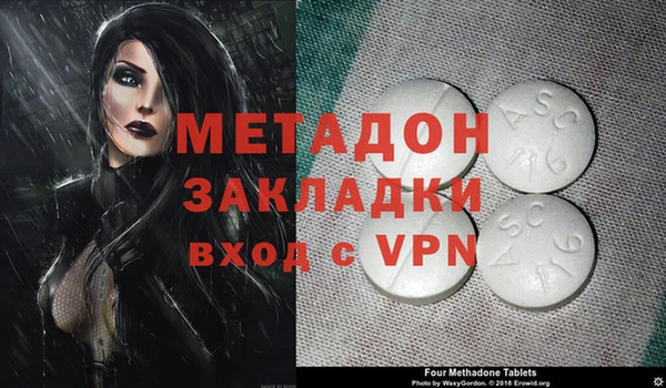 прущие грибы Михайловка
