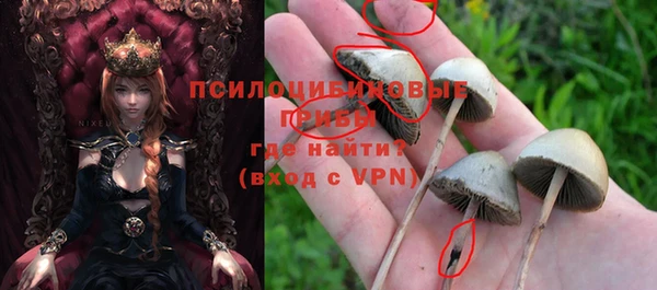 прущие грибы Михайловка