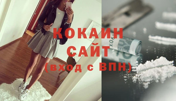 прущие грибы Михайловка