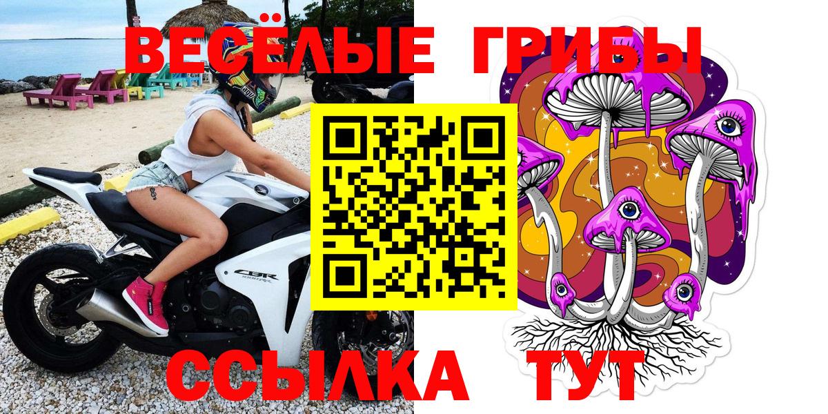 Усть-Кут  Галлюциногенные грибы прущие грибы  где можно купить   Псилоцибиновые грибы MAGIC MUSHROOMS  Вход с VPN 