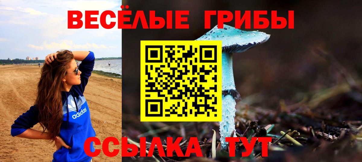Псилоцибиновые грибы Cubensis Усть-Кут