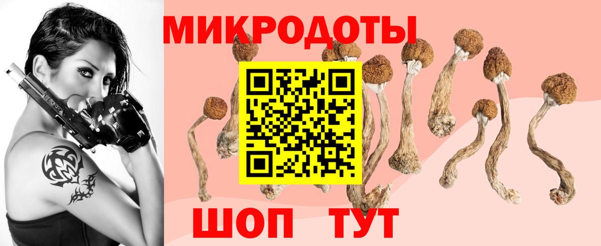 Псилоцибиновые грибы Psilocybine cubensis Усть-Кут