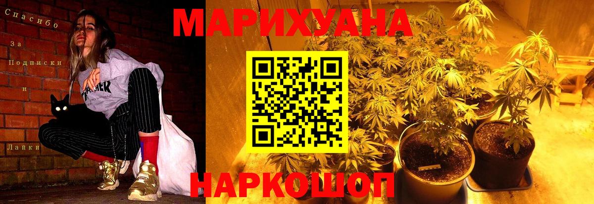 МАРИХУАНА гибрид  Усть-Кут  Канабис Bruce Banner  Конопля OG Kush 